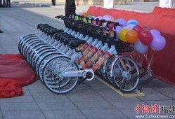 翔安区共享单车最新爆料,最新爆料揭示行业变革趋势