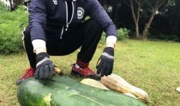 最新的吃瓜爆料,神秘事件背后真相大揭秘！