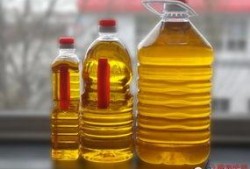 美国豆油最新爆料,揭秘市场动态与价格走势